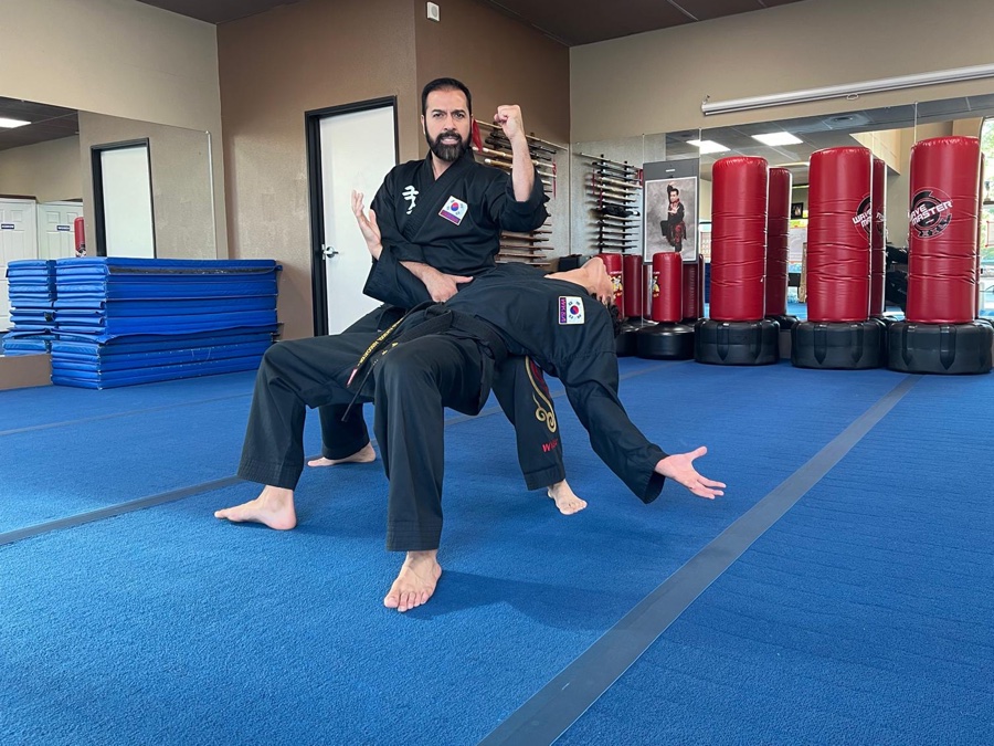 Master Seyd Saidi demonstrating technique during training session